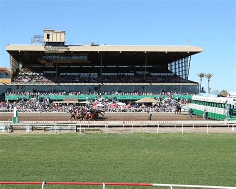 Turf Paradise .